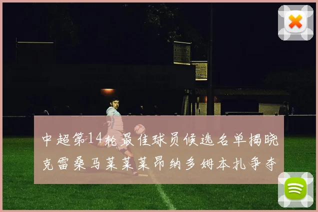 中超第14轮最佳球员候选名单揭晓克雷桑马莱莱莱昂纳多姆本扎争夺荣誉